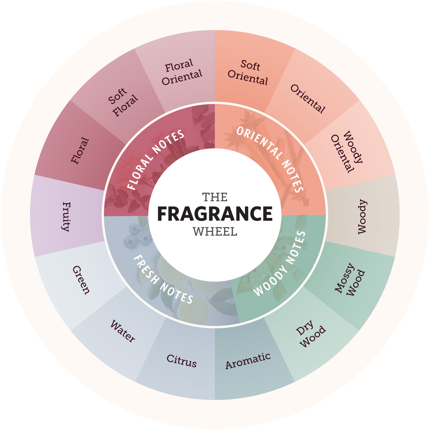 The entire fragrance wheel