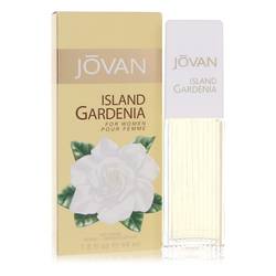 Jovan Island Gardenia