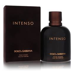 Dolce & Gabbana Intenso