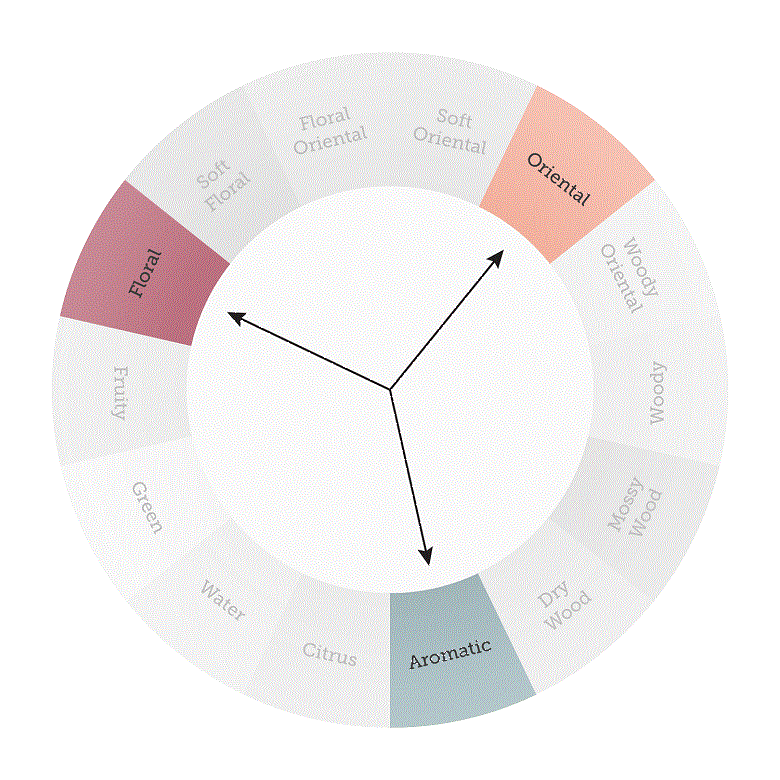 Complementing scents highlighted on the fragrance wheel in the shape of a triangle